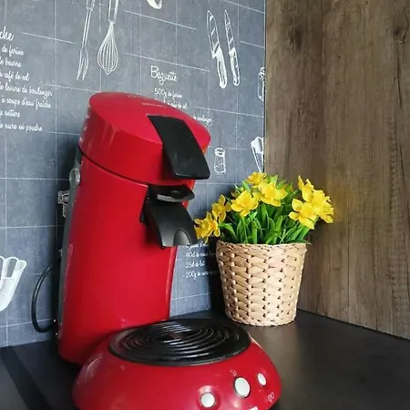 La Maison Des Bretzels Jacuzzi Et Charme Alsacien * Pfaffenhoffen